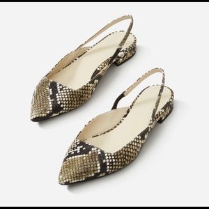 EVERLANE slingback python shoe size 7.5.